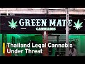 Thailand Legal Cannabis Businesses Under Threat | TaiwanPlus News