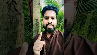 ഫലങ്ങളേക്കാൾ പ്രധാനം പ്രവർത്തനമാണ് #viralvideo #shortvideo #youtubeshorts #motivation #youtube #love