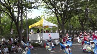 勇舞会 「SUPER NAMINOREAM」（審査演舞）／公園通北会場（流し）②／第30回朝霞市民まつり 彩夏祭2013