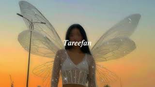 tareefan (slowed + reverb)