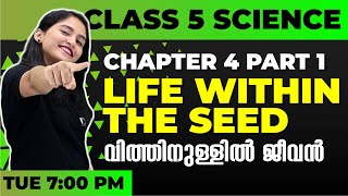 Class 5 Basic Science | Life Within The Seed Part 1| വിത്തിനുള്ളിൽ ജീവൻ | Chapter 4 |Exam Winner