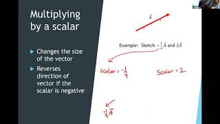 Performing basic vector operations graphically
