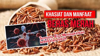 7 KHASIAT dan MANFAAT BERAS MERAH untuk Kesehatan