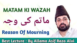 Matam ki asal wazah kya hai best majlis clip by allama asif raza alvi