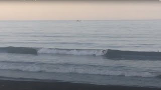 2022.8.1 湘南波情報動画　AM5:40 辻堂　Jerry Smith