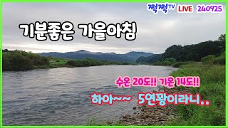 [필드LIVE] 기분좋은 가을아침 쏘가리낚시 ! 240925