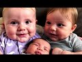 pure innocence twin baby s most precious moments cute baby video double cute