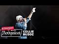 Collie Buddz live | Summerjam Festival 2024 | Rockpalast