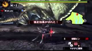 【MH4】シャガルマガラ　Lv100　ソロ弓・非火事場　08分18秒76 TS抜き