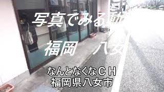 写真でみる動画　　　【 九州 福岡県 八女市 】（一部動画あり）