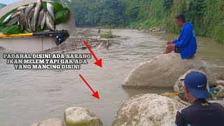 Mancing nilem dengan umpan roti klik essen doa !! umpan turun langsung poin || nutul nilem