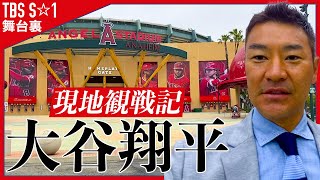 TBS S☆1舞台裏！エンゼルス 大谷翔平の活躍を現地生観戦！