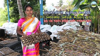 விவசாயிகள் ஆர்வம் காட்டும் 353 செம்மை செய்த கரும்பு நாற்று 🔸ஒரு பரு கரும்பு நாற்று அதிக மகசூல் தரும்