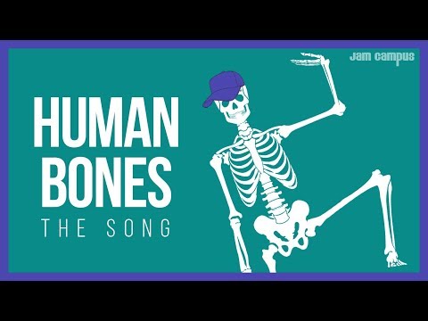 What is the song about bones connecting?