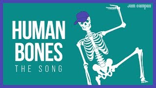 THE HUMAN BONES SONG Science Music...