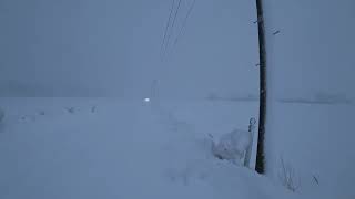 吹雪の朝！「今日もコツコツ朝散歩。」【えびてつチャンネル】