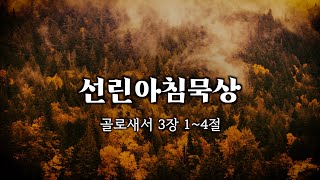 【아침묵상】 골로새서 3장 1~4절