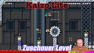 Meine ersten Kaizo Lite Level