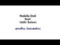 Nabila Dali feat Iddir salem - Anelhu ( karaoke)