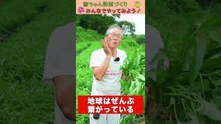 地球は全部繋がっている！【おうちで元気な無農薬野菜を育てよう】 #shorts