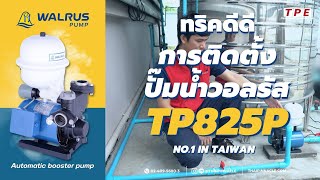 ทริคดีดี กับ Walrus EP.21 วิธีติดตั้งปั๊มน้ำอัตโนมัติ รุ่น TP-825P l TRICK DD, How to install TP825P