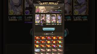 【グラブル】エンジェルヘイロー　PRO