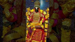 # thirumala thirupati 🌺🌺## Sri venkateswara swami # devotional # trending # yt shorts # telugu 🙏🙏🌺🌺