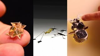 Best 5 NanoRobots For you if You Love to play with Micro Robots.