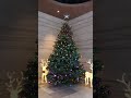 香港クリスマス🎄hongkong christmas hari hotel causeway bay rainbow christmas tree