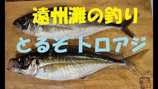 遠州灘の釣り　とるぞ トロアジ