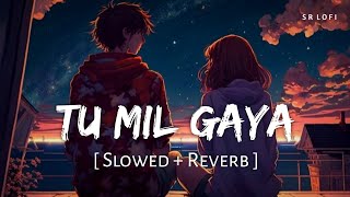 Tu Mil Gaya (Slowed + Reverb) | Jubin Nautiyal, Tulsi Kumar | Srikanth | SR Lofi