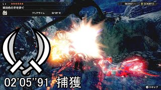 【MHRise Switch】集★6 琥珀色の牙を研ぐ ベリオロス 双剣 ソロ 2'05''91/ Sharpening Amber Fangs Dual Blades Solo