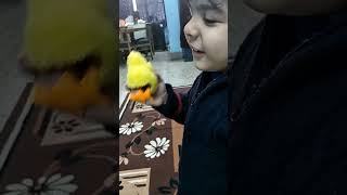 Baby playing with Little chick #short #trending #ytshorts #trend  @हिंदी - Genevieve's Playhouse