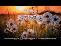 Electronic Impressions 811 with Danny Grunow [Uplifting Trance]