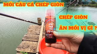 Câu đài - CHIA SẺ MỒI CÂU CÁ CHÉP GIÒN HỒ DỊCH VỤ - Câu Cá