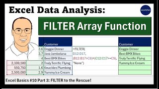 MS 365 Excel Basics #10 Part 03: FILTER Array Function to Dynamically Filter!