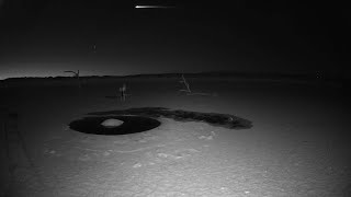 Mysterious UFO flying above Namib desert waterhole