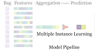 Multiple Instance Learning: Model Pipeline