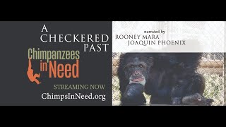 A Checkered Past: Starring Joaquin Phoenix, Rooney Mara and The Chimpanzees in Need