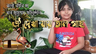 Oi Dekha Jay Tal Gach | ঐ দেখা যায় তাল গাছ (কানা বগীর ছা) Bangla Rhyme for Childrens #BD_Risa