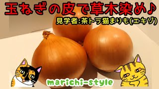 【草木染め初心者にオススメの染色】捨ててしまうものを利用して簡単で綺麗に染まる　ショートver.