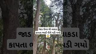 જાડ ઉપર થી લાકડા કાપતા ભાઈ નીચે પડી ગયો 😱#trending #viral #Reels #funny