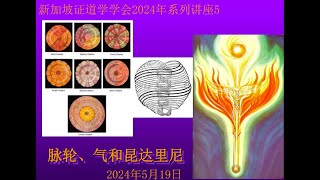 《脉轮、气和昆达里尼》(2024年5月19日,带问答)