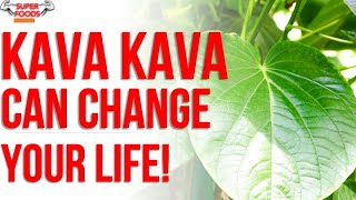 Kava Kava: Everything you NEED TO KNOW