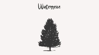 NEW ALBUM -  Winterreise  - NEW ALBUM - 🎶 Mozart \u0026 Schubert 🎶