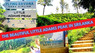 சின்ன சிவனொளிபாத மலை என அழைக்கப்படும் Little Adams peak அழகின் சிகரம் 😮😮❤😍😍