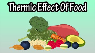 What Is (TEF) The Thermic Effect Of Food Explained - How Many Calories Burned During Digestion