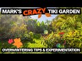 Mark's Crazy Tiki Garden October 2024 - UK Tropical Plant Overwintering Tips