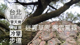 【台北陽明山】冷水坑 冷擎步道 擎天崗大草原