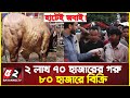 ২ লাখ ৭০ হাজারের গরু ৮০ হাজারে বিক্রি | বাধ্য হয়ে হাটেই জবাই | Cow Haat | Aftabnagar Gorur Haat